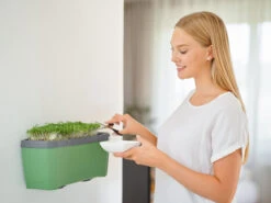 HARRY HERBS Kräutertopf Dunkelgrün | Kräutertöpfe Von Gusta Garden -Compo || Elho || Pegasus Verkäufe 560338 HARRY HERBS dunkelgruen 103B10 gg 4