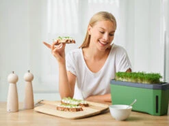 Compo || Elho || Pegasus Verkäufe -Compo || Elho || Pegasus Verkäufe 560338 HARRY HERBS dunkelgruen 103B10 gg 6