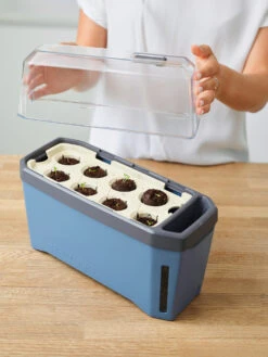 HARRY HERBS &amp; FLORTUS Kräuter Set | Anzuchtsets Von FLORTUS -Compo || Elho || Pegasus Verkäufe 562699 HARRY HERBS und FLORTUS Kraeuter Set 2000 2387 blau 3